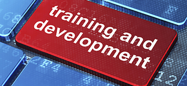 Training and Development Blog